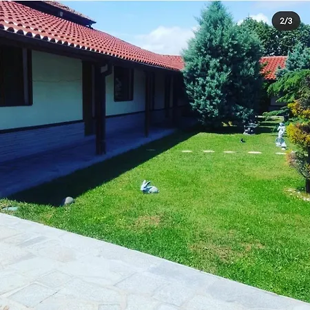 комплекс копитото 3*