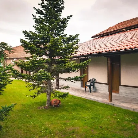 комплекс копитото 3*